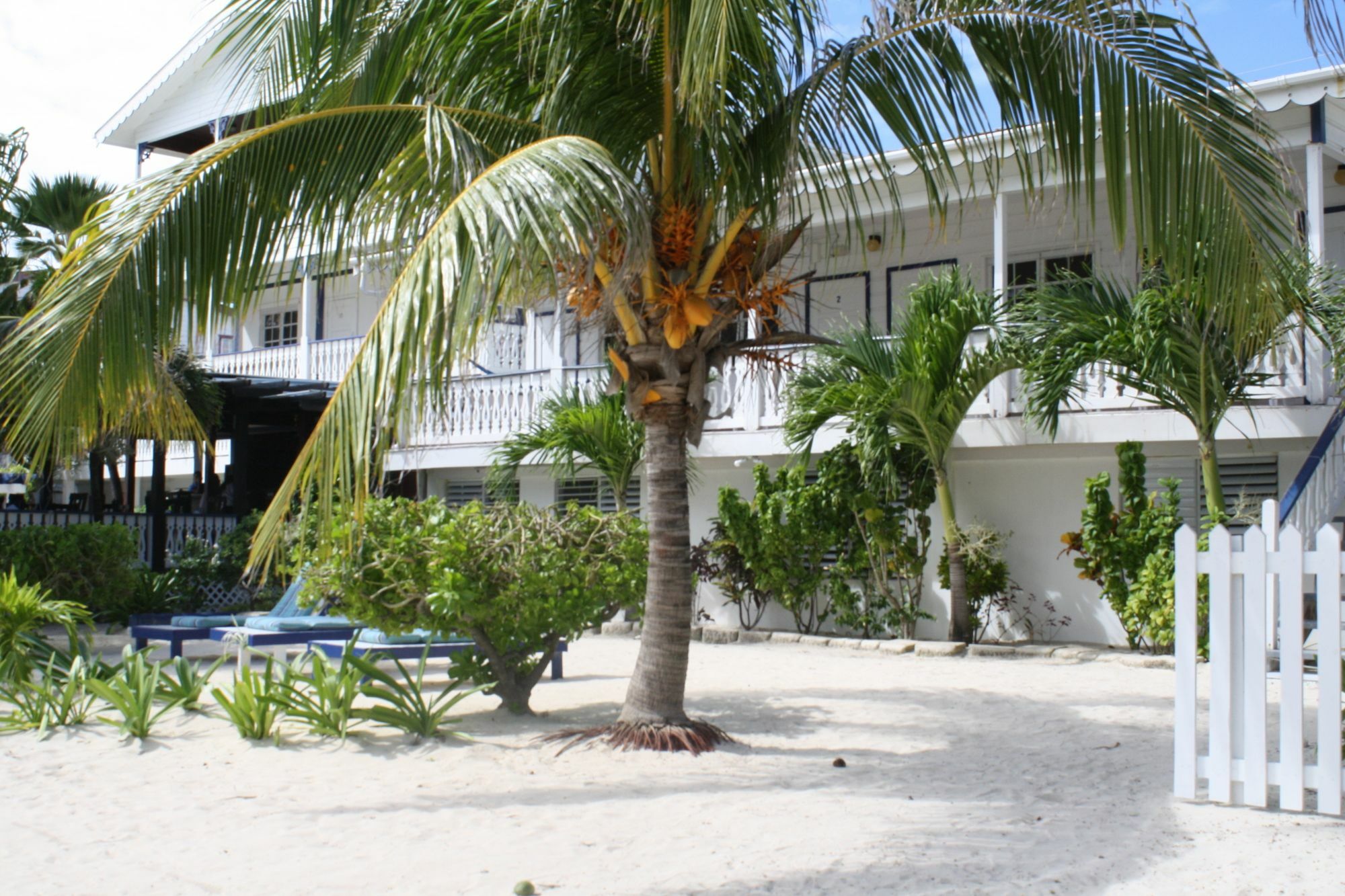 Holiday Hotel San Pedro  Exterior foto